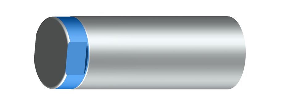 Méplat sur l'extrémité de la tige